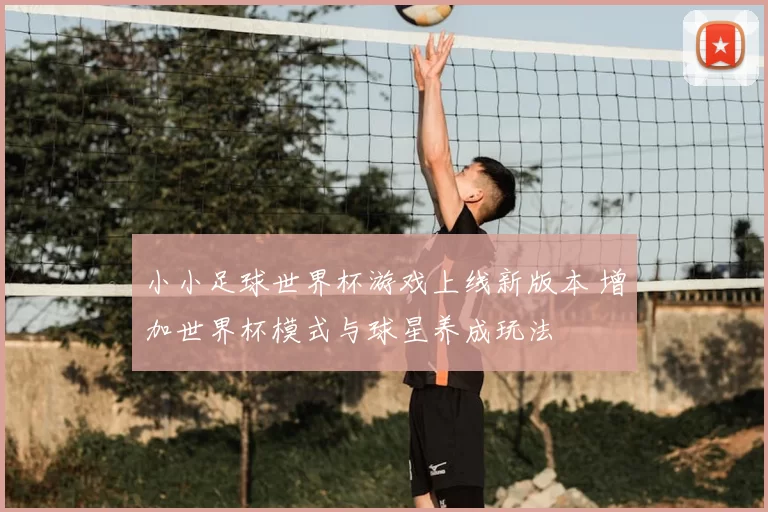 小小足球世界杯游戏上线新版本 增加世界杯模式与球星养成玩法