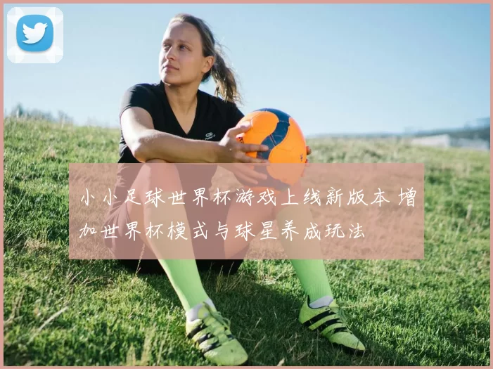 小小足球世界杯游戏上线新版本 增加世界杯模式与球星养成玩法
